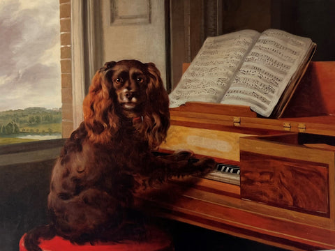 Sporting Vision Post Card