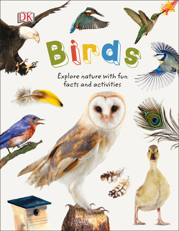 Birds Activity Book For Kids
